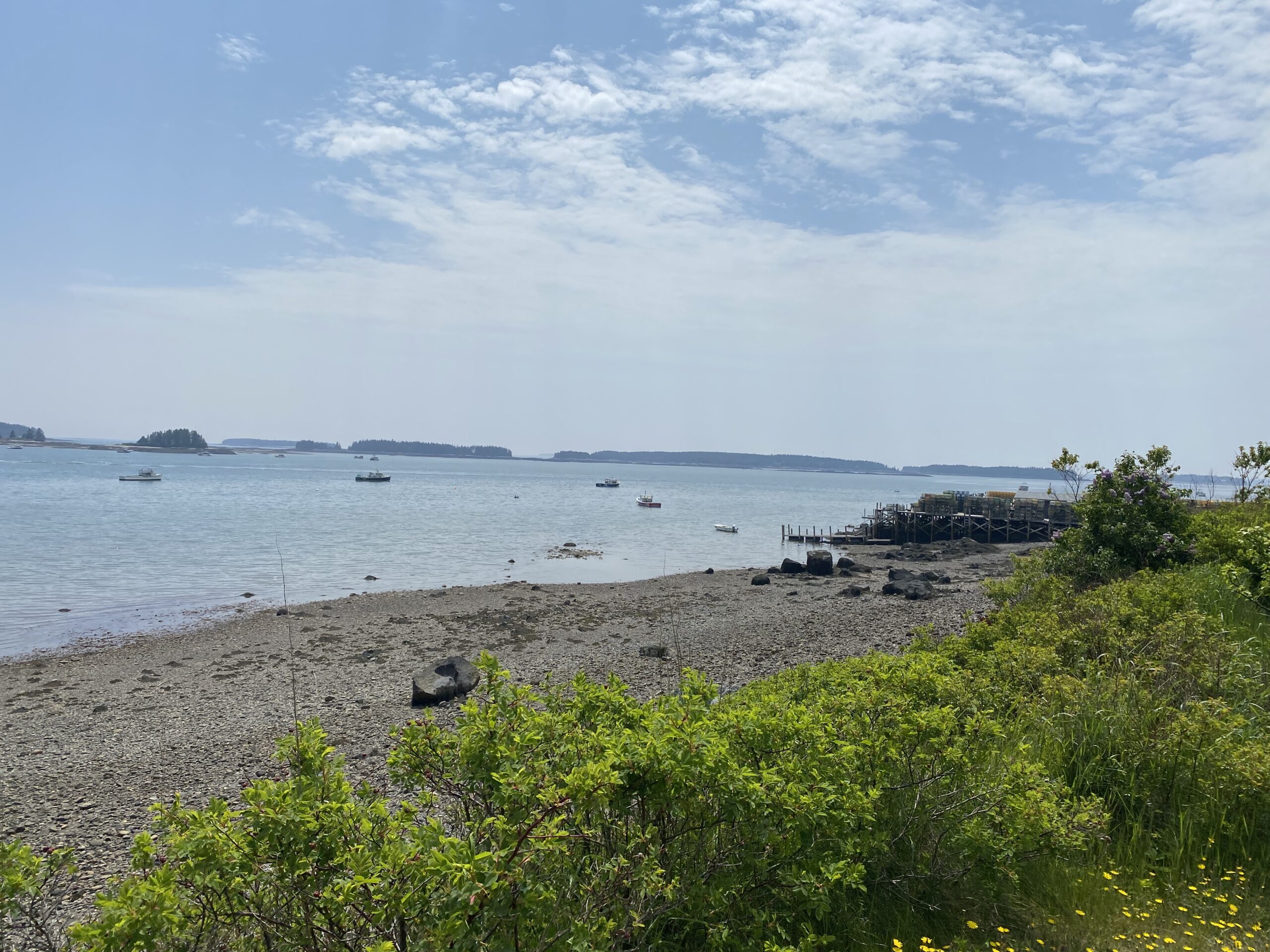Maine shoreline and working harbor